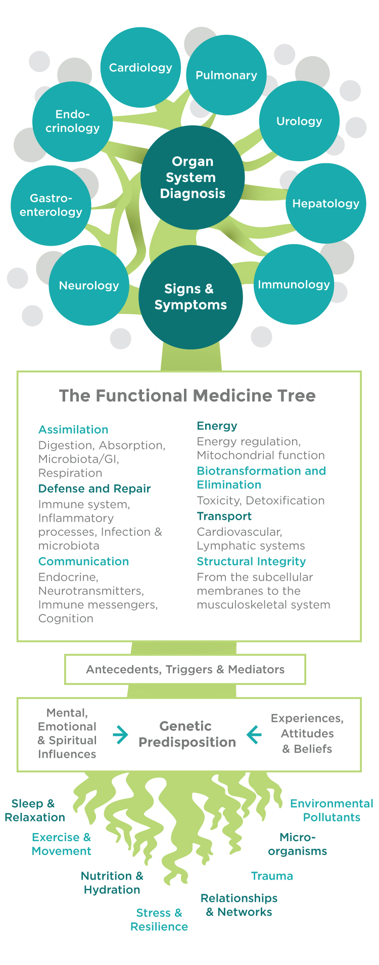 functional medicine doctor los angeles